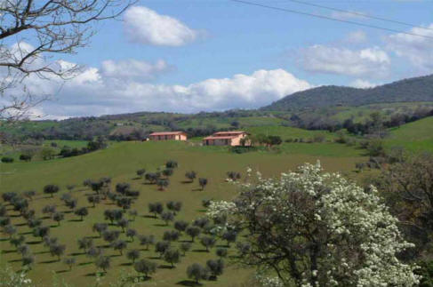 vista dalla strada